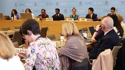 WTO চীনের অনুরোধ অনুসরণ করে মুদ্রাস্ফীতি হ্রাস আইনের অধীনে মার্কিন ট্যাক্স ক্...