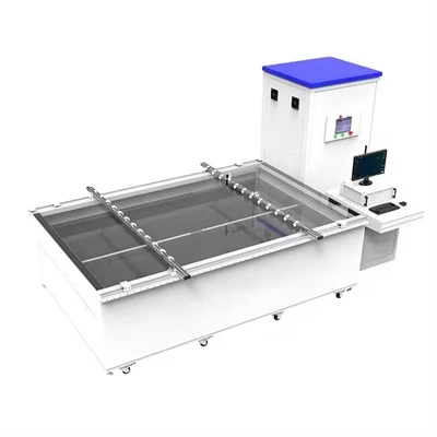 300MW ডাবল গ্লাস সোলার প্যানেল সমাবেশ লাইন